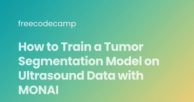 How to Train a Tumor Segmentation Model on Ultrasound Data with MONAI