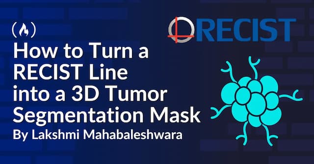 How to Turn a RECIST Line into a 3D Tumor Segmentation Mask